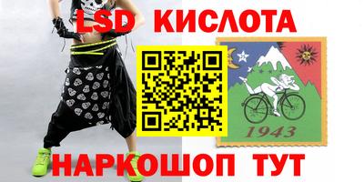 стаф Шахты
