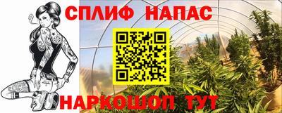 стаф Шахты