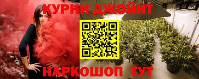 стаф Шахты