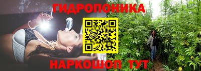 СК Шелехов