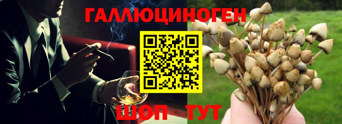 Галлюциногенные грибы ЛСД  Галлюциногенные грибы Psilocybine cubensis  Вход с VPN  Лыткарино 
